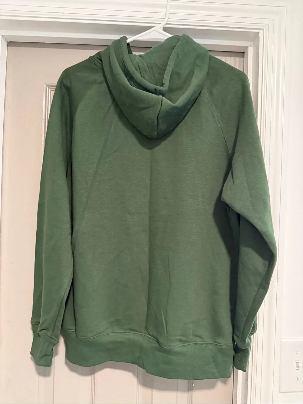 The North Face Green Logo Hoodie NWT sz L
